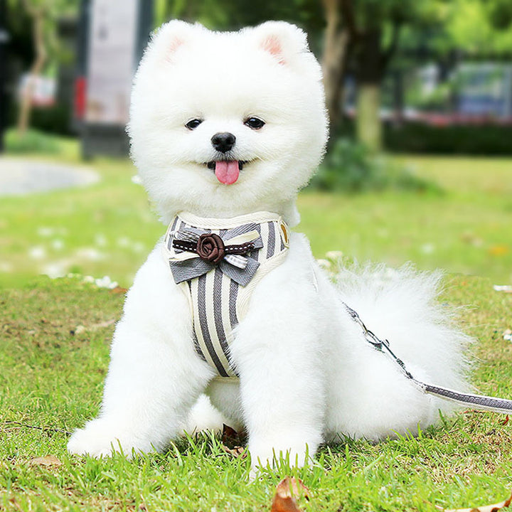Pet Vest Chest Strap Adjustable Walking Leash