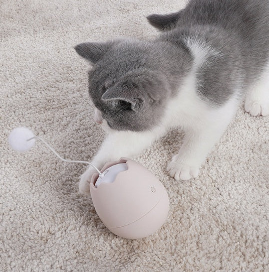 Pet Funny Interactive Play Artifact Toy