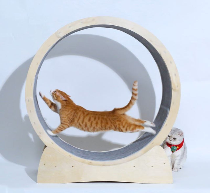 Pet Treadmill Roller Interactive Exercise Toy