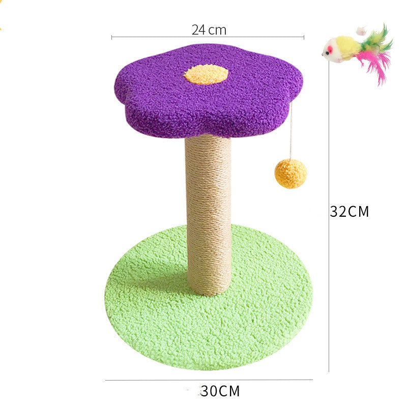 Pet Claw Grinding Teasing Interactive Play Toy
