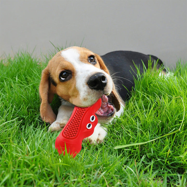 Pet Vocal Rugby Natural Rubber Teething Chew Toy