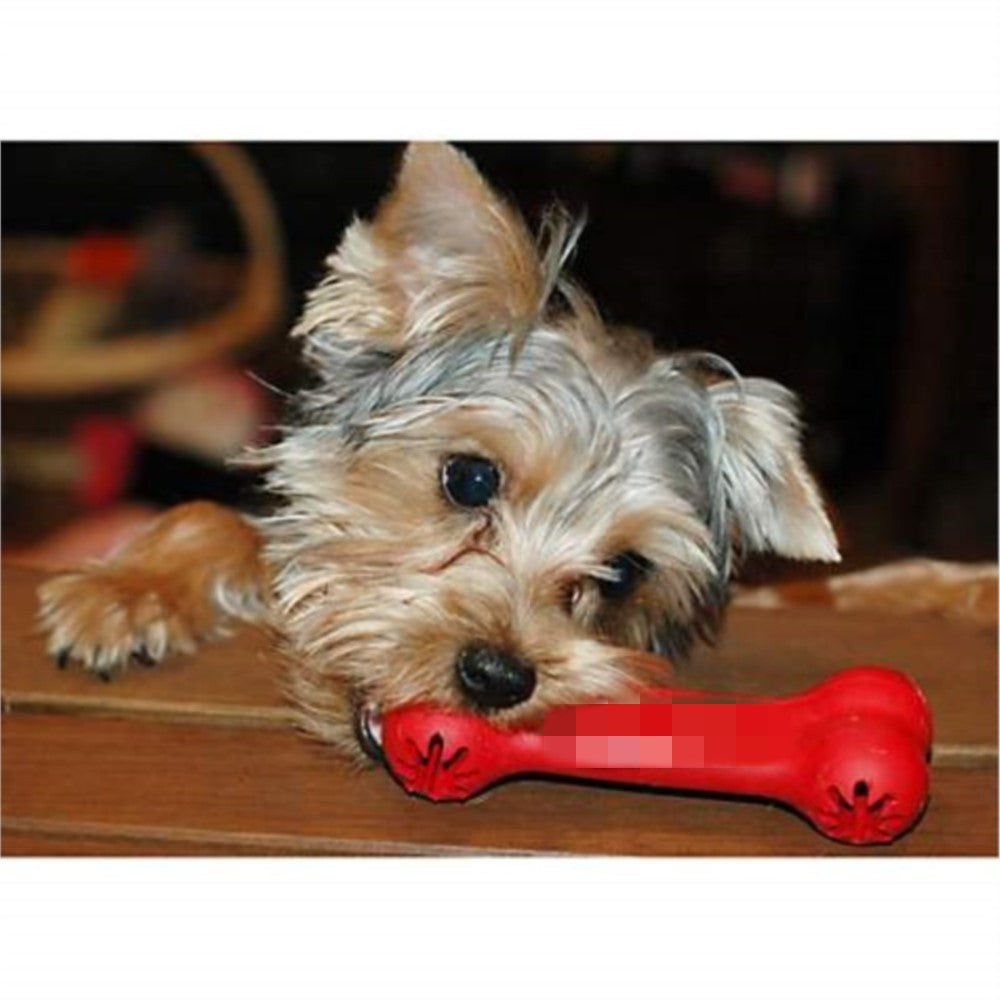 Pet Bite Resistant Rubber Teeth Grinding Chew Toy