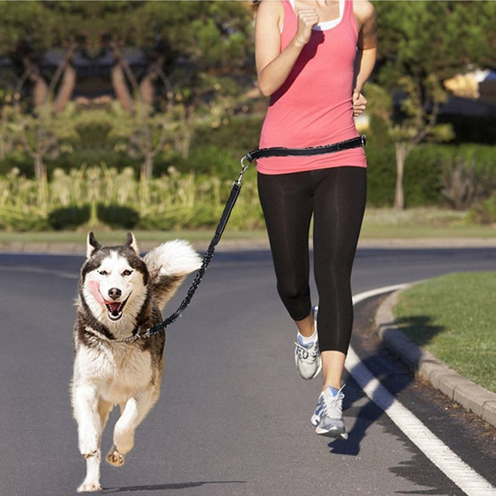 Pet Adjustable Harness Jogging Walking Leash