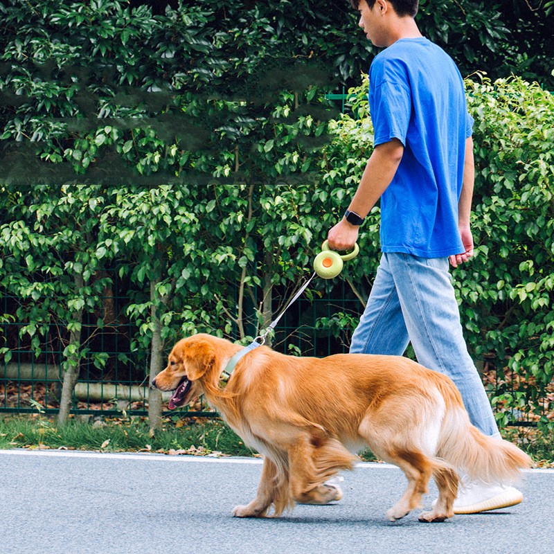 Pet Retractable Reflective Walking Leash Rope
