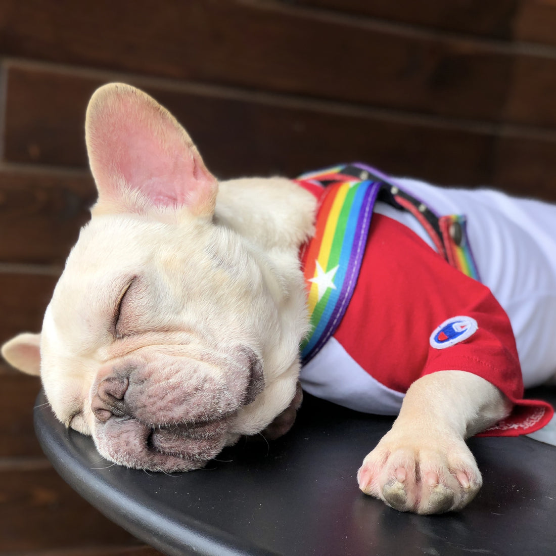 Pet Rainbow Chain Cool Walking Leash