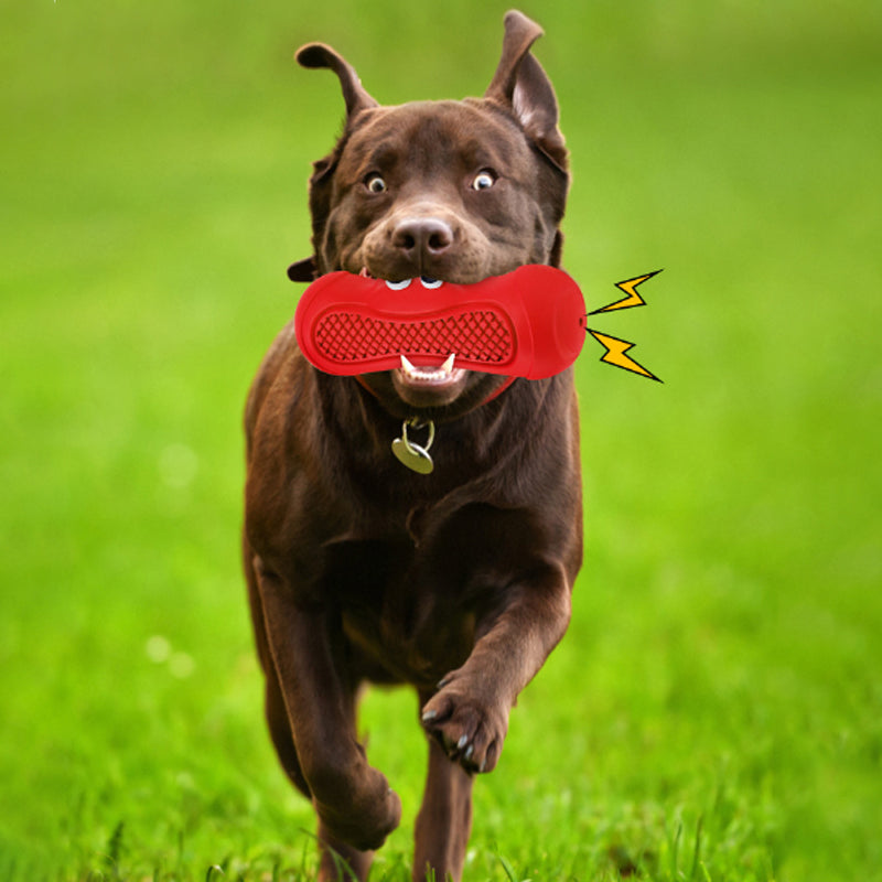 Pet Vocal Rugby Natural Rubber Teething Chew Toy