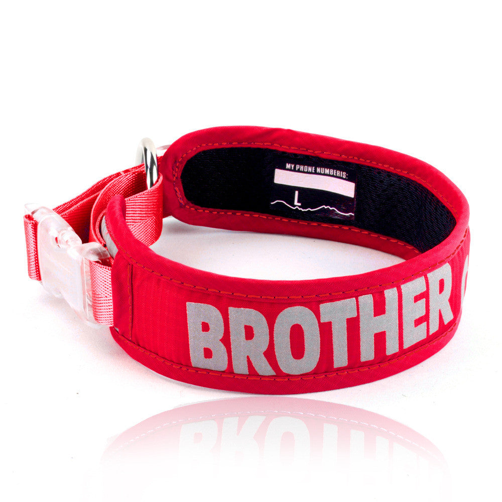 Pet Chest Strap Explosion Proof Storage Leash Bag
