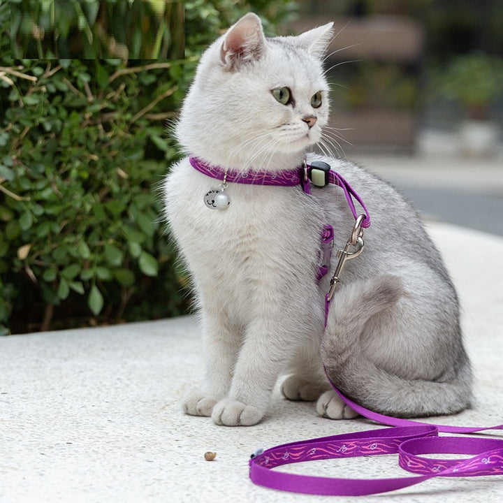 Pet Bell Chest Strap Vest Haulage Rope Leash