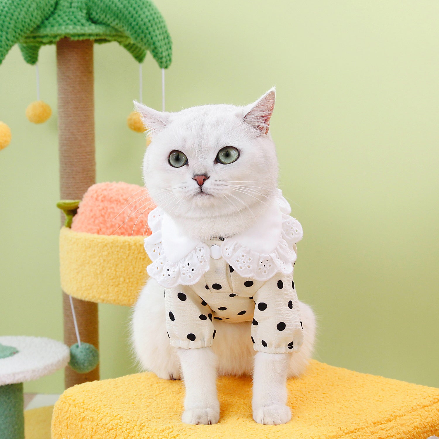 Blue Pet T-Shirt Comfortable Casual Clothing Apparel Wear