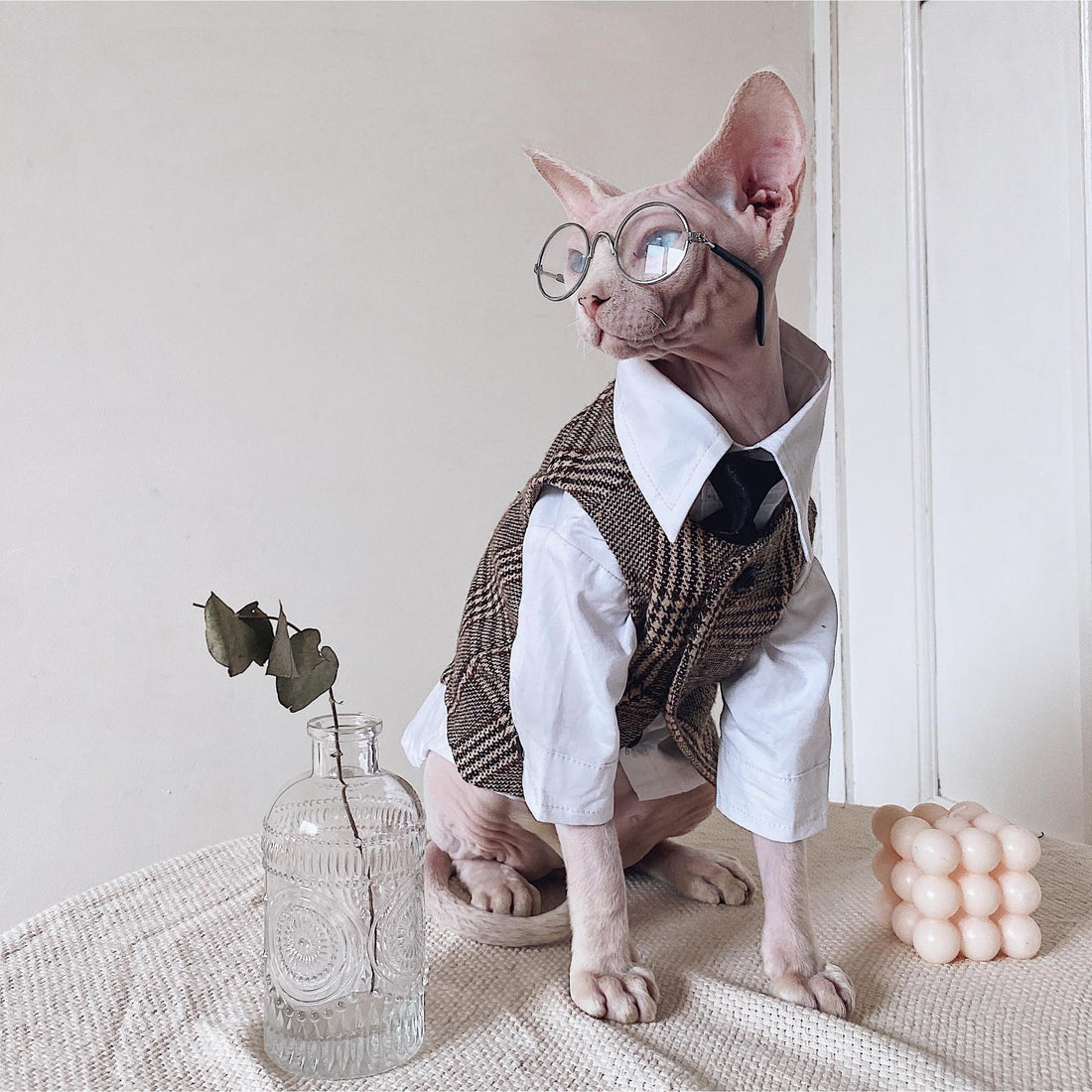 Pet Warm Suit Shirt Outfit Clothing Apparel