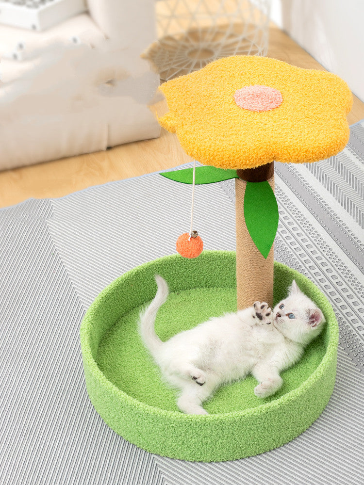 Pet Claw Grinding Teasing Interactive Play Toy