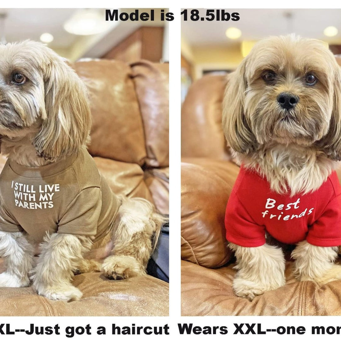 Round Neck Pet T-Shirt Comfortable Casual Wear