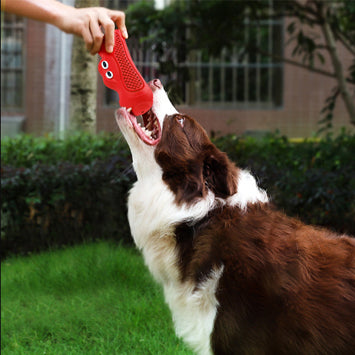 Pet Vocal Rugby Natural Rubber Teething Chew Toy