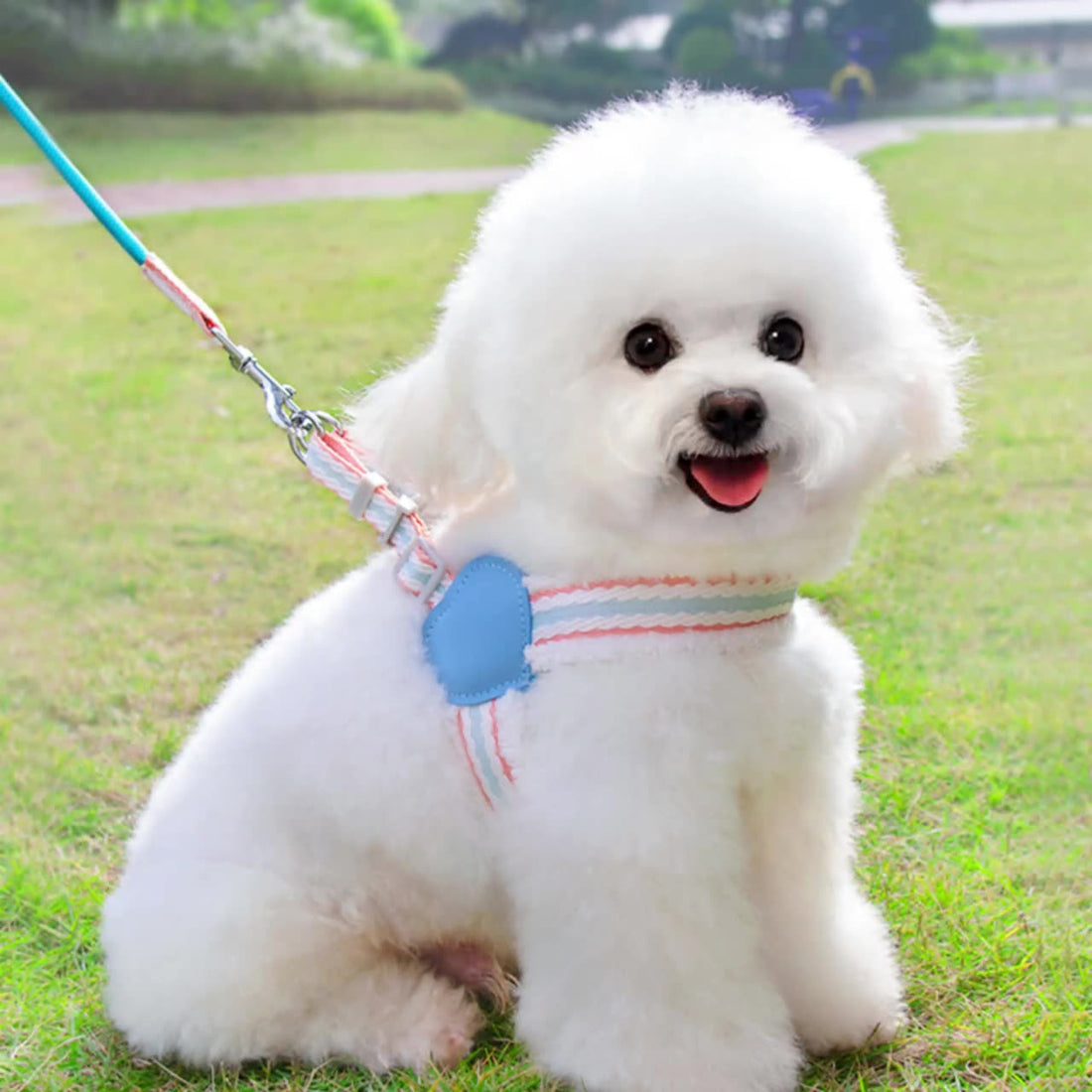 Pet Chest Vest Breathable Summer Walking Leash
