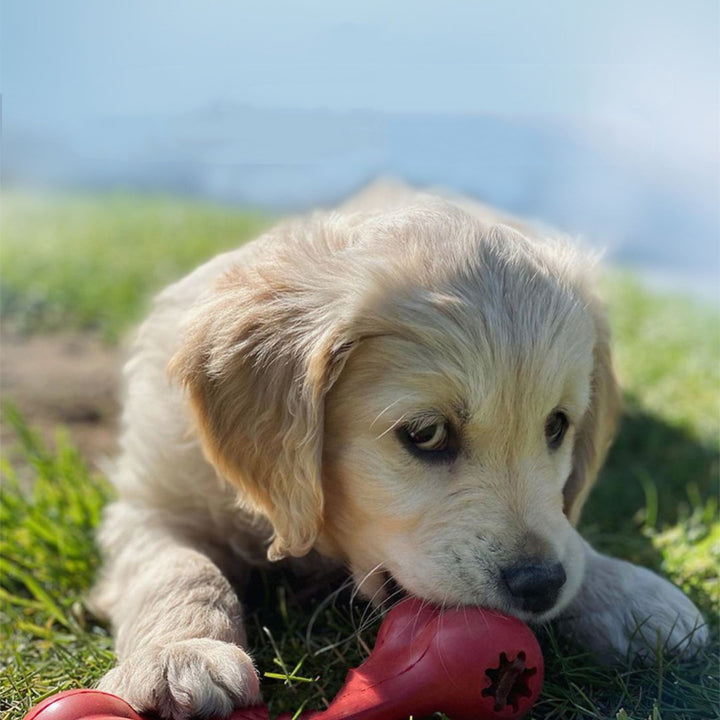 Pet Bite Resistant Rubber Grinding Chew Toy