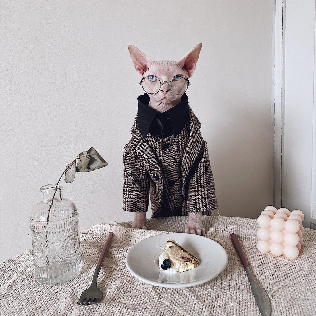 Pet Warm Suit Shirt Outfit Clothing Apparel