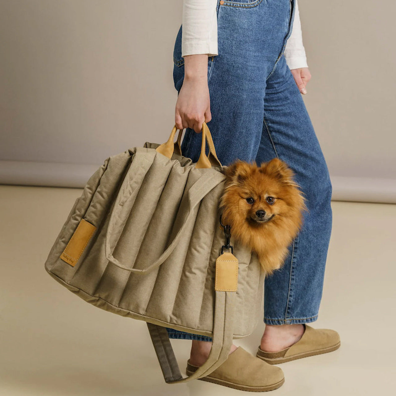 Waterproof Pet Carrier Handbag Outdoor Travel Bag