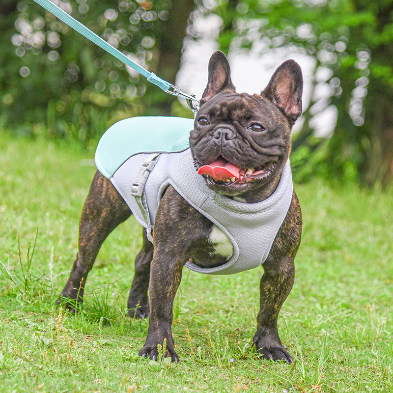Pet Summer Outdoor Breathable Cooling Vest Apparel