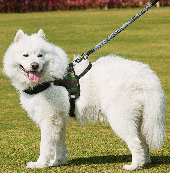 Pet Chest Harness Adjustable Walking Leash Set