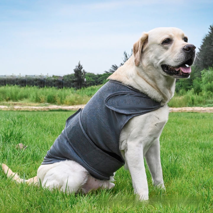 Pet Anxiety Relief Soothing Tank Top Clothing Apparel