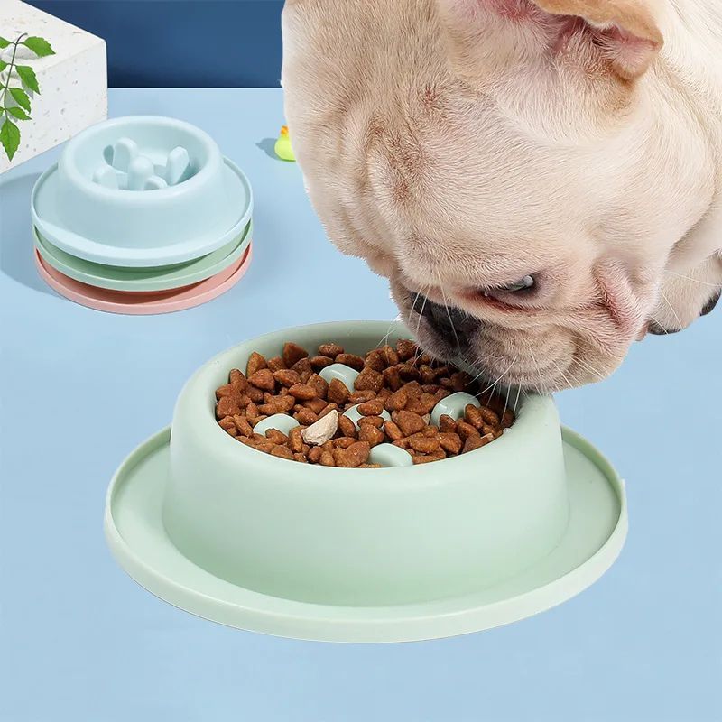 Pet Slow Eating Anti Choking Interactive Feeding Bowl Plate