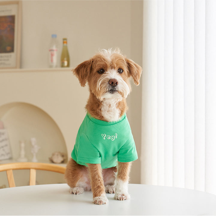 Pet Korean Style Cotton Color Print Short Sleeve T-Shirt