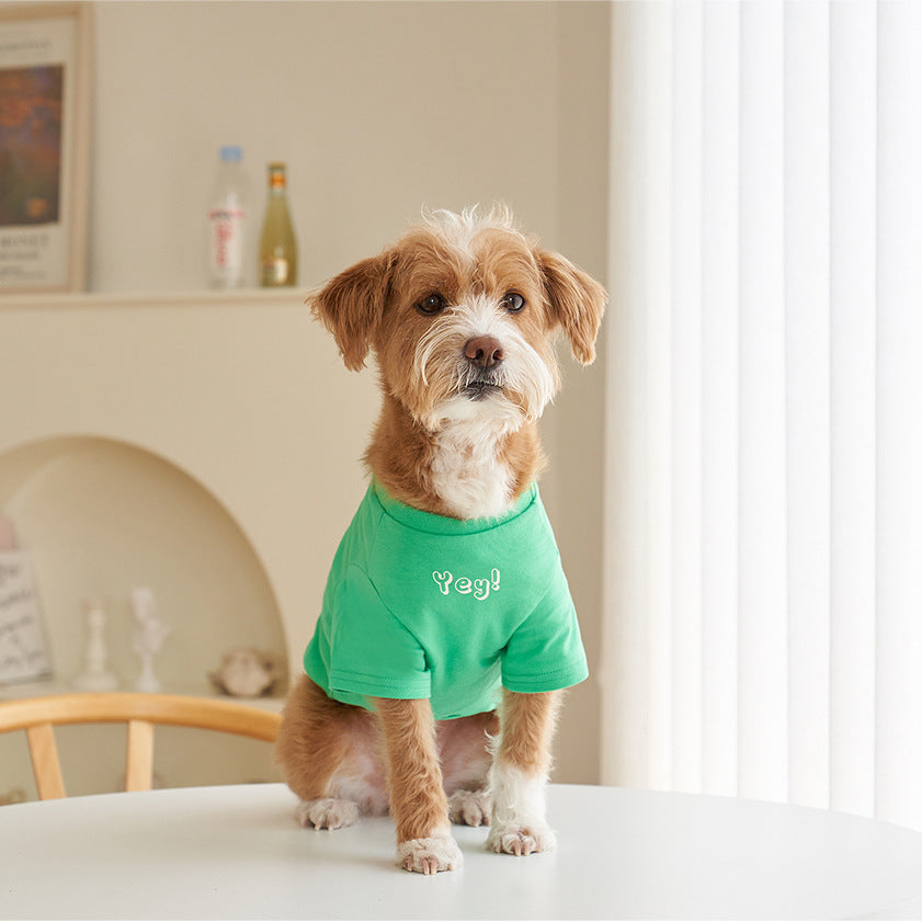 Pet Korean Style Cotton Color Print Short Sleeve T-Shirt