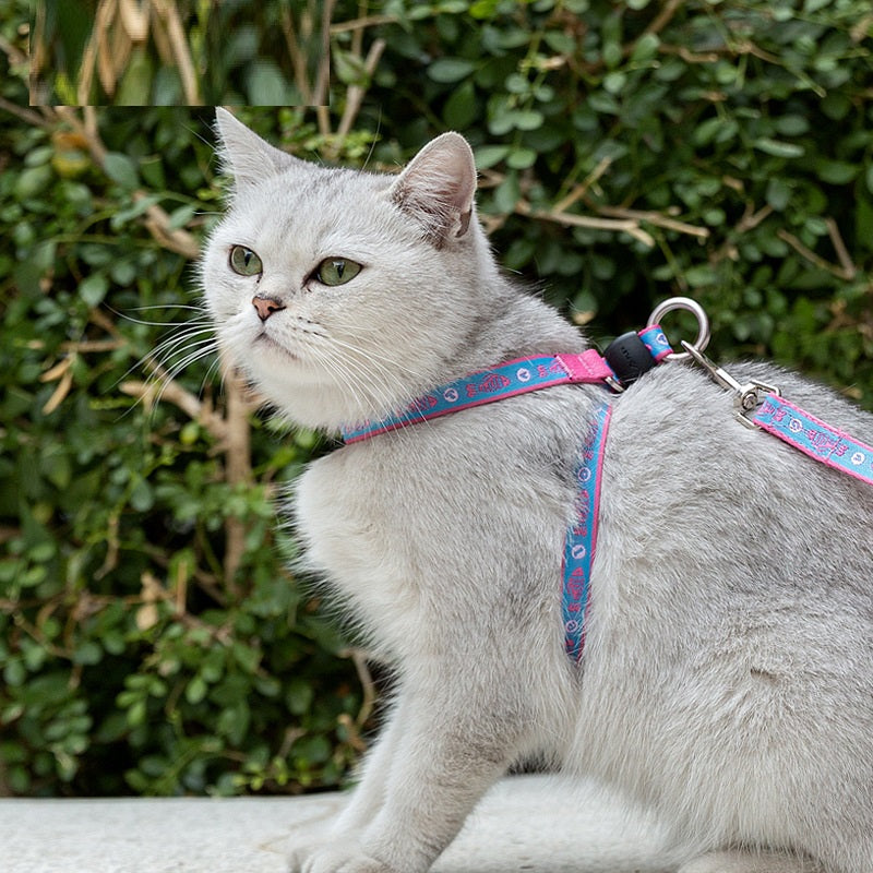 Pet Bell Chest Strap Vest Haulage Rope Leash