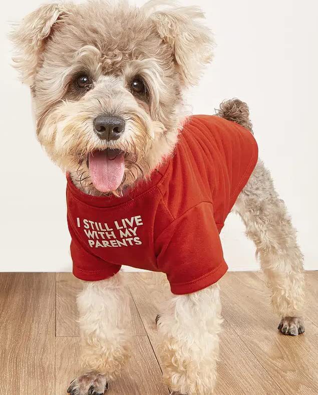 Round Neck Pet T-Shirt Comfortable Casual Wear