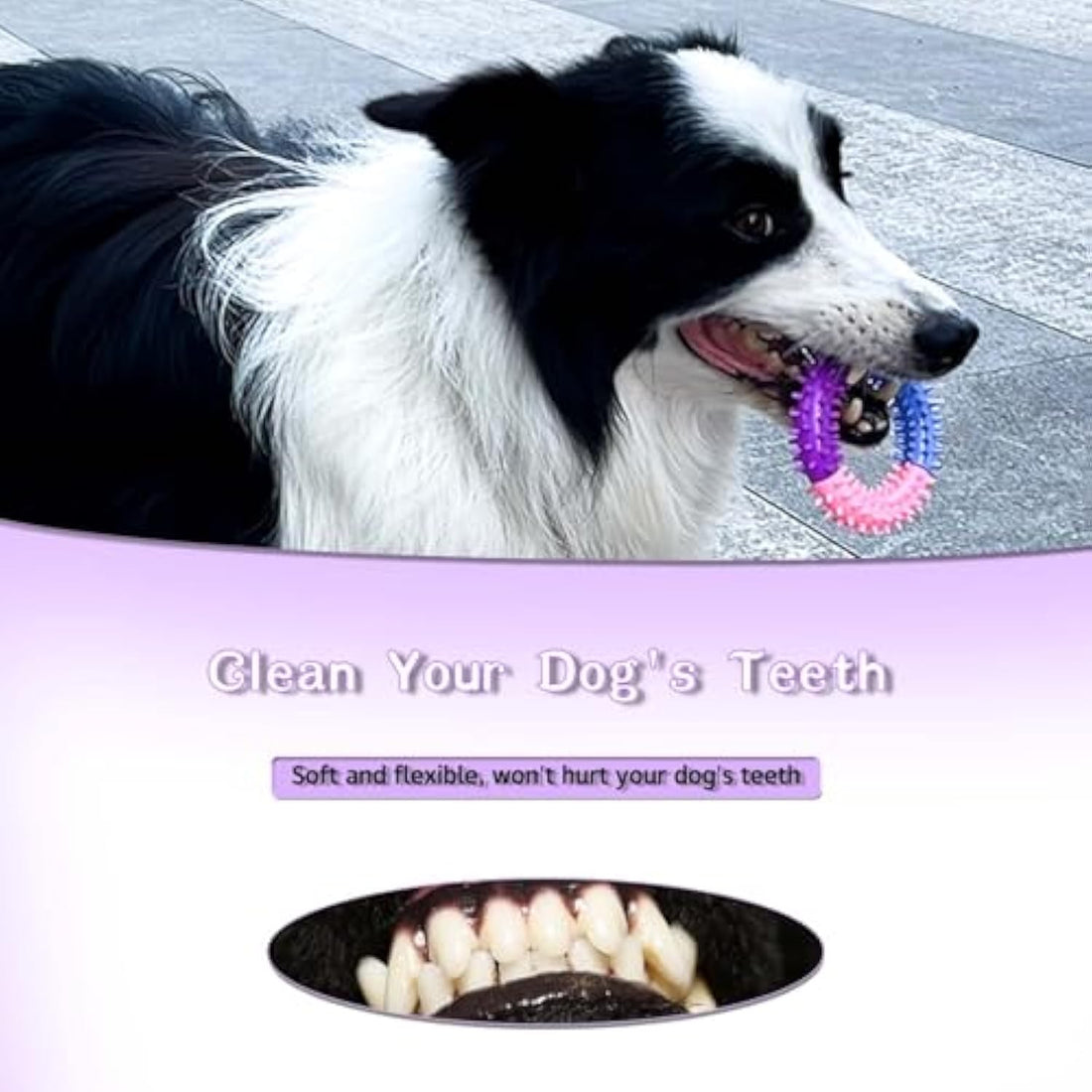 Pet Rubber Chew Ring Teething Interactive Toy For Pets