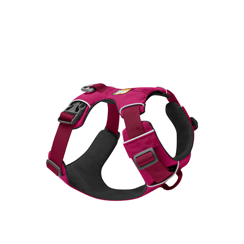 Pet Chest Back Harness Adjustable Walking Leash Set