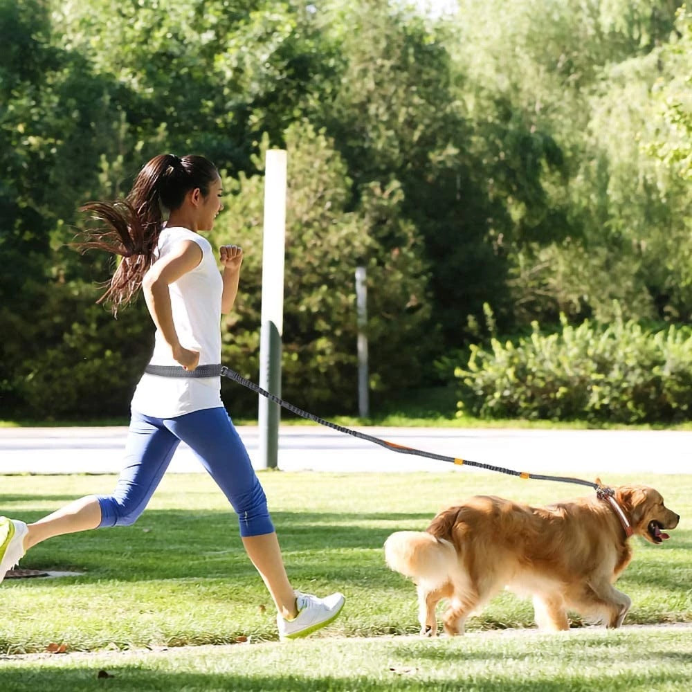 Pet Adjustable Harness Jogging Walking Leash