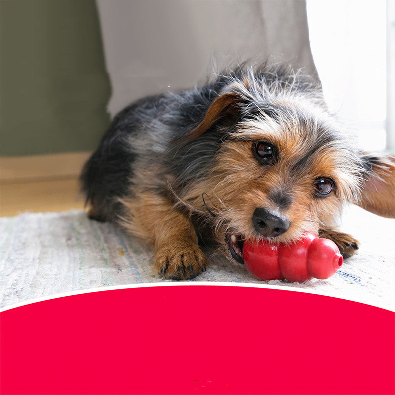 Pet Bite Resistant Rubber Grinding Chew Toy