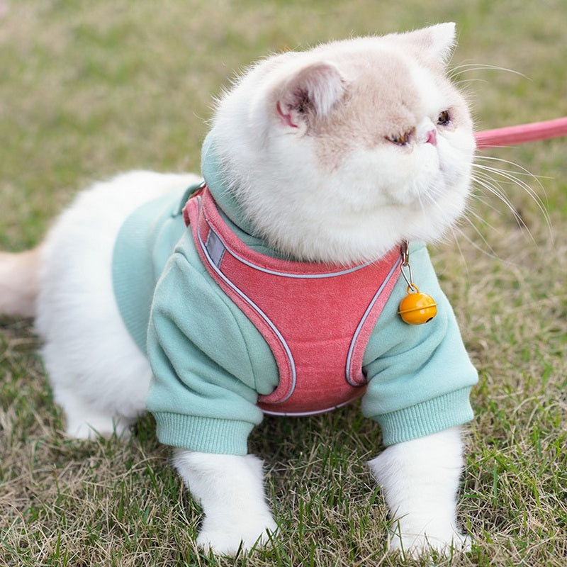 Pet Vest Chest Harness Adjustable Walking Leash