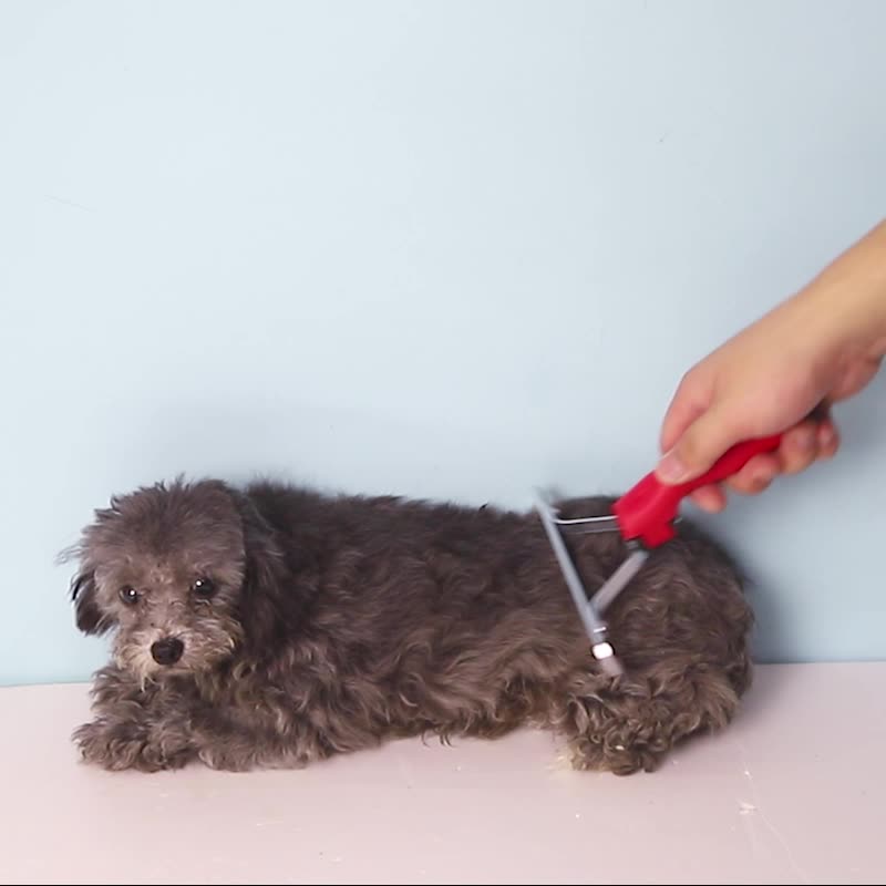 Large Pet Rake Comb Deshedding Grooming Brush Tool