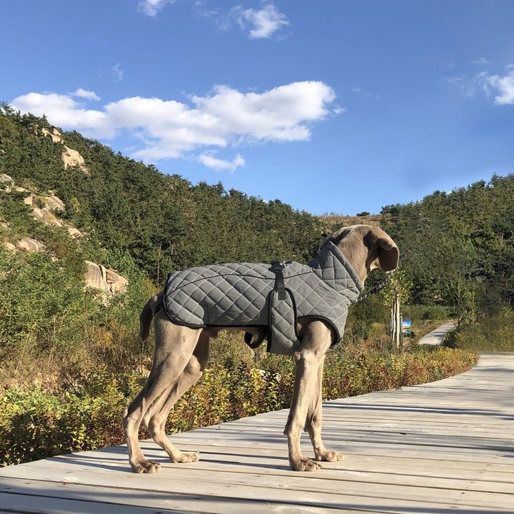 Reflective Tactical Full Body Pet Jacket Outdoor Wear