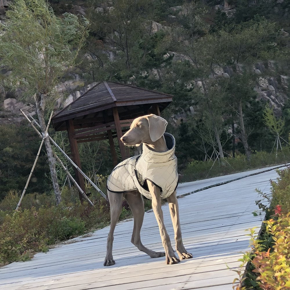 Reflective Tactical Full Body Pet Jacket Outdoor Wear
