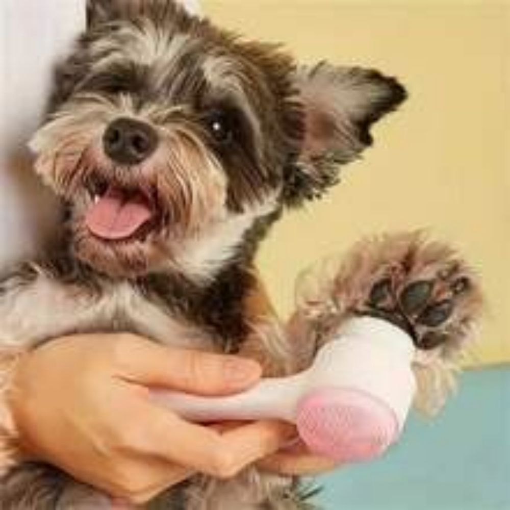 Gentle Pet Paw Brush Grooming Massage Cleaning Tool