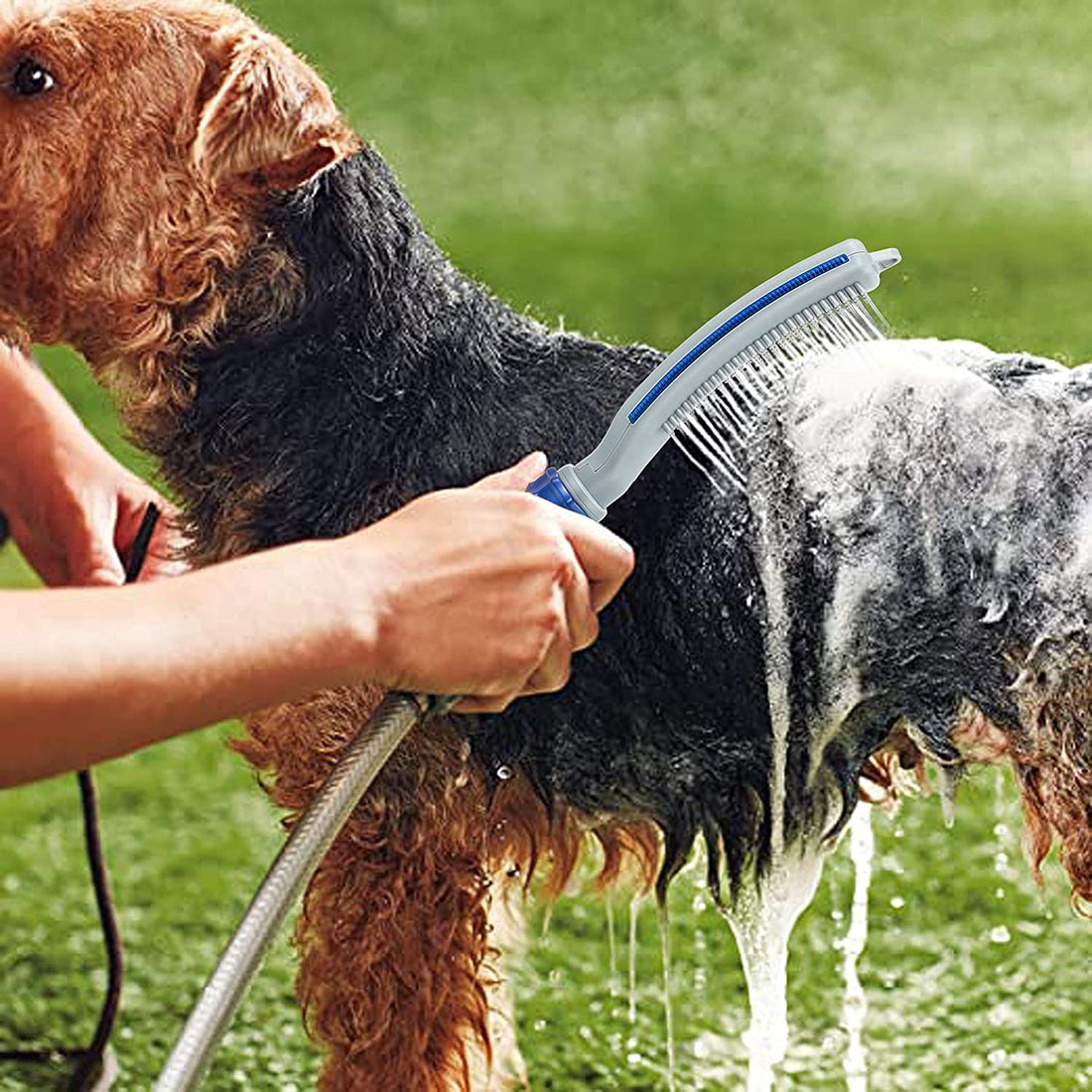 Pet Bath Shower Water Hose Grooming Brush