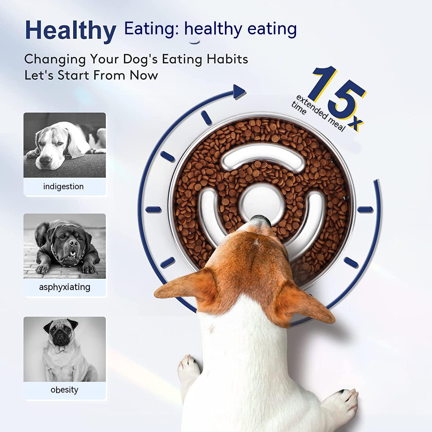 Pet Stainless Steel Slow Feeding Neck Protector Bowl