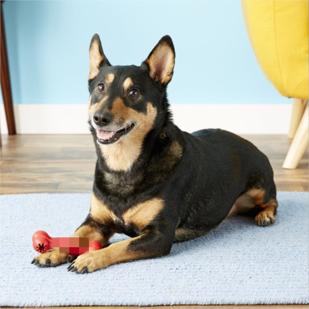 Pet Bite Resistant Rubber Teeth Grinding Chew Toy
