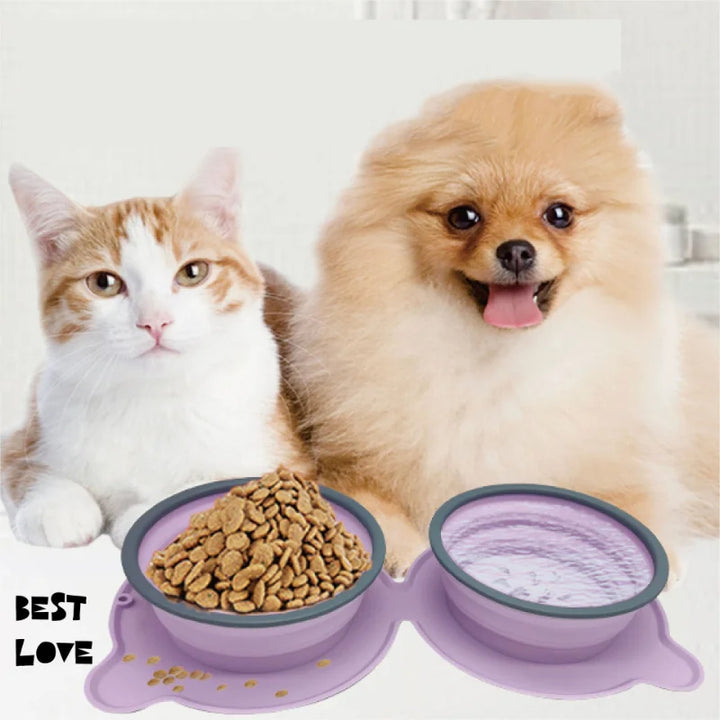 Pet Portable Silicone Double Foldable Non Slip Travel Feeding Bowl