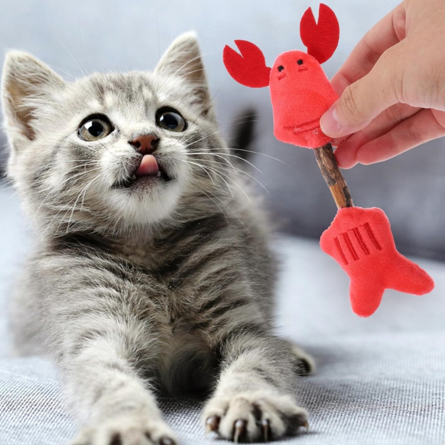 Pet Chew Stick Teeth Cleaning Interactive Teaser Toy Sticks