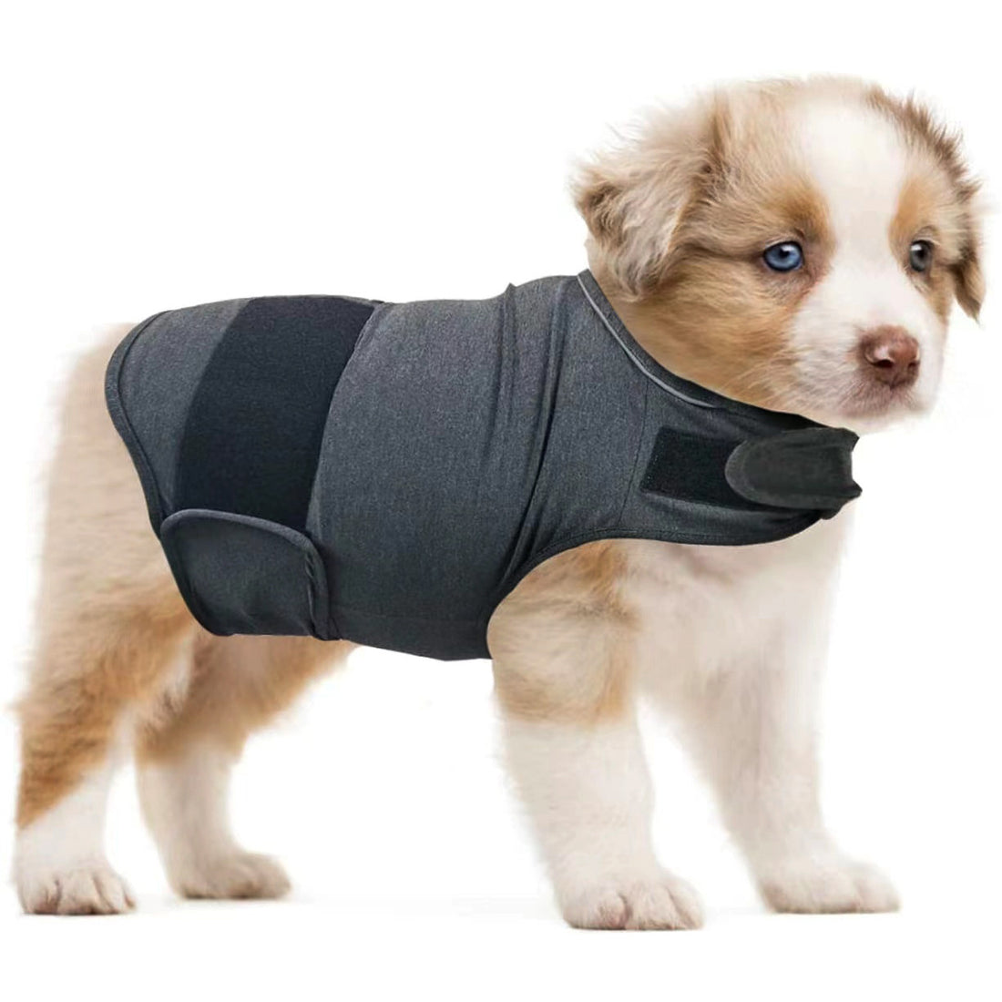 Pet Anxiety Relief Soothing Tank Top Clothing Apparel