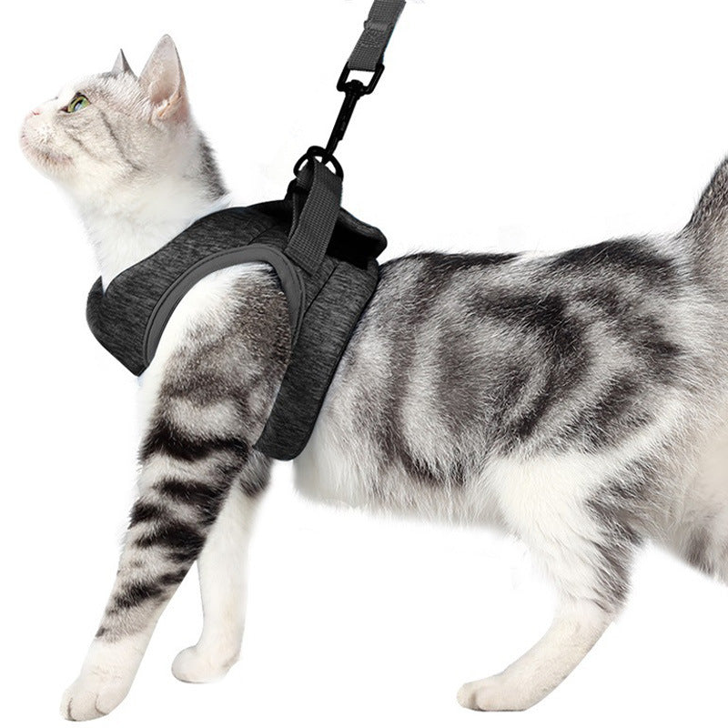 Pet Chest Strap Lace Rope Breathable Lightweight Leash
