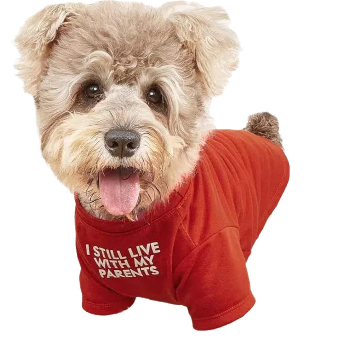 Round Neck Pet T-Shirt Comfortable Casual Wear