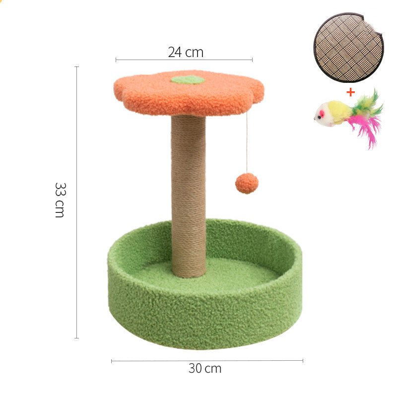 Pet Claw Grinding Teasing Interactive Play Toy
