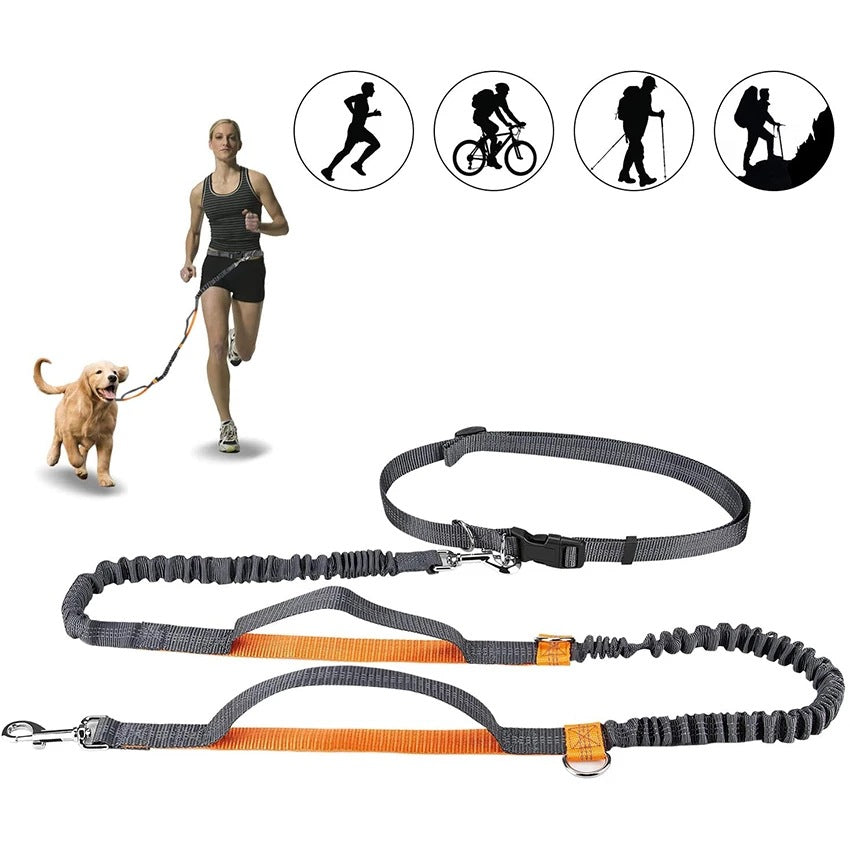 Pet Adjustable Harness Jogging Walking Leash