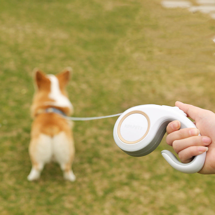 Pet Automatic Retractable Walking Leash Lead
