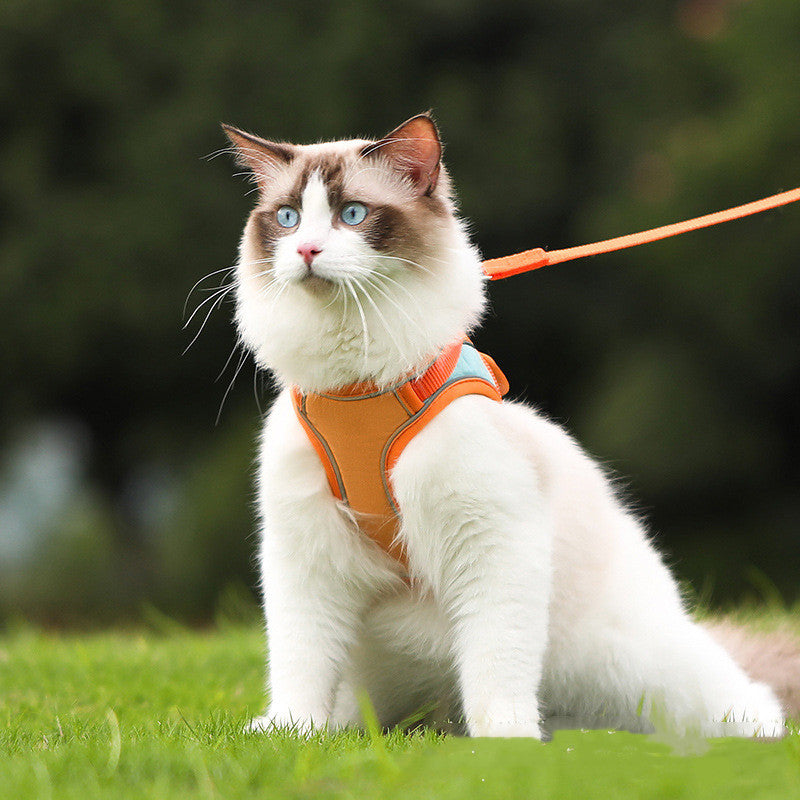 Pet Harness Leash Reflective Anti Escape Walking Set